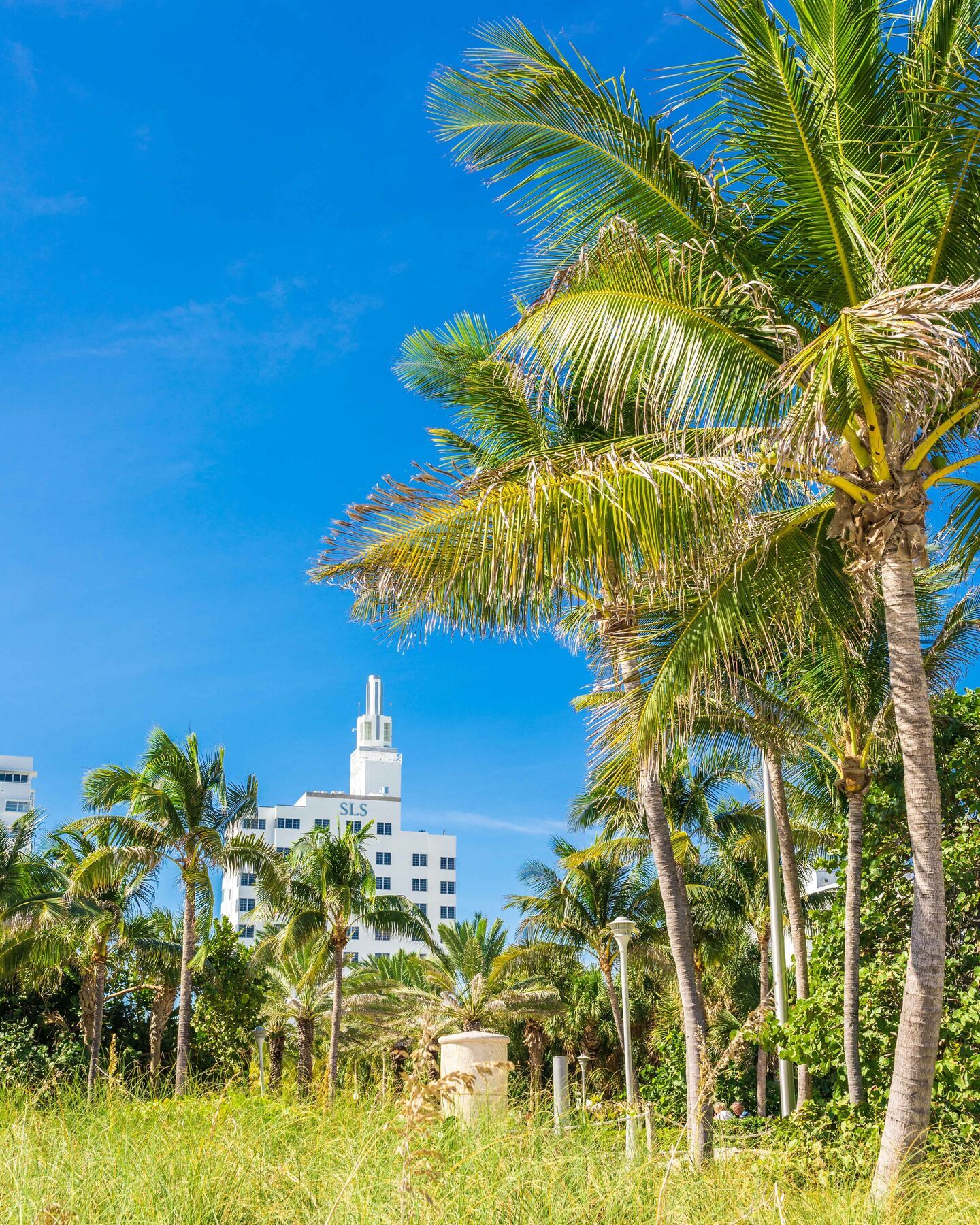 Sls South Beach (Adults Only) Маями Бийч Екстериор снимка